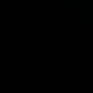 Meet your Posher, Luis